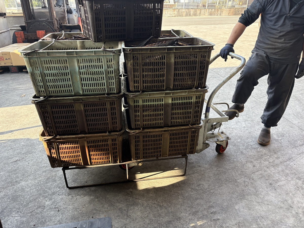 ネコ改めガッチャン