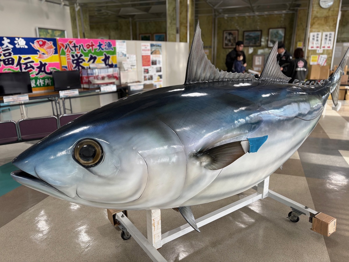 カツオのリアルなオブジェ